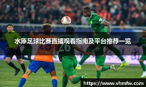 mk体育官网入口