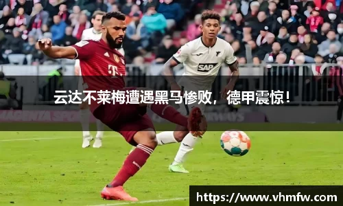 mk体育官网入口