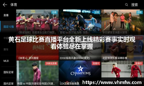 mk体育官网入口