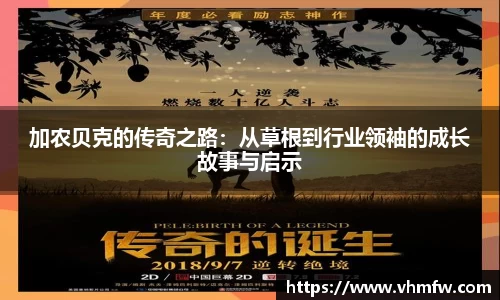 mk体育