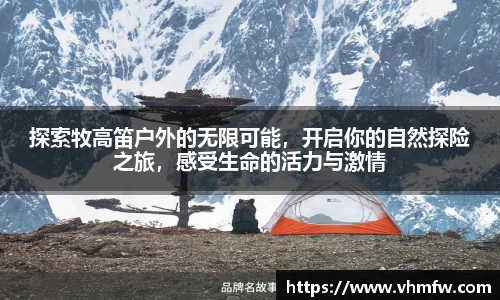 mk体育官网入口