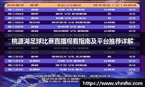 桃源湖足球比赛直播观看指南及平台推荐详解